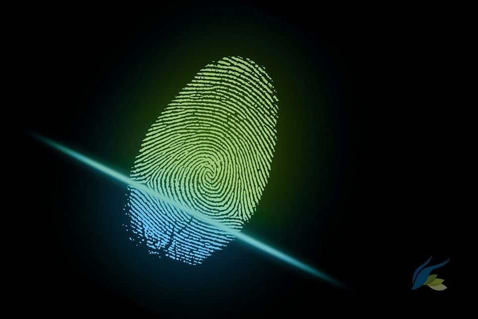 Biometria Seguridad Privacidad