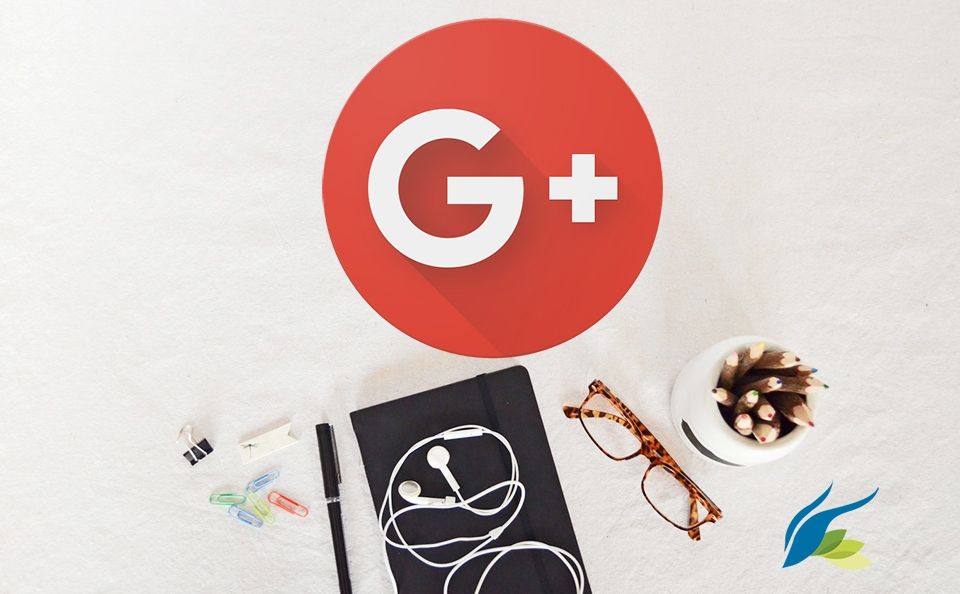 Google Plus Expertos Redes Sociales